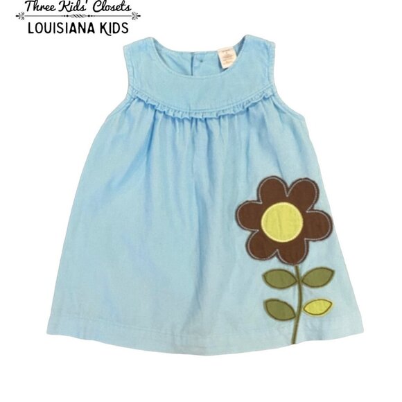 Carter's Other - Carter's 9m Light Blue Cord Flower Appliqué Dress